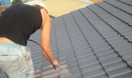 Painting Roof