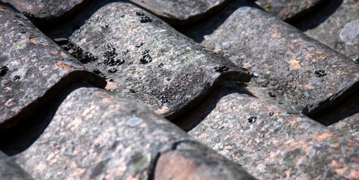 Damaged Roof Tiles